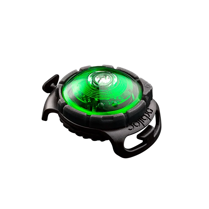 Sicherheitslicht Dog Dual | Green