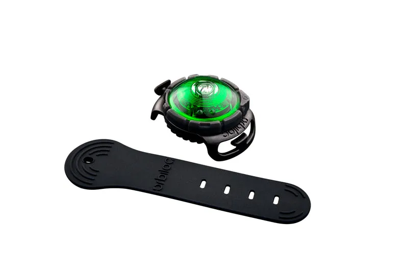 Sicherheitslicht Dog Dual | Green
