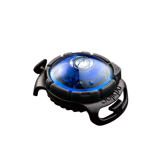 Sicherheitslicht Dog Dual | Blue