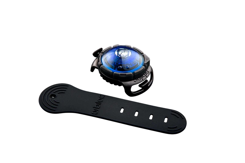 Sicherheitslicht Dog Dual | Blue