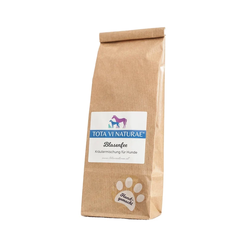Kräutermischung stärkt Blase und Nieren | Blasenfee