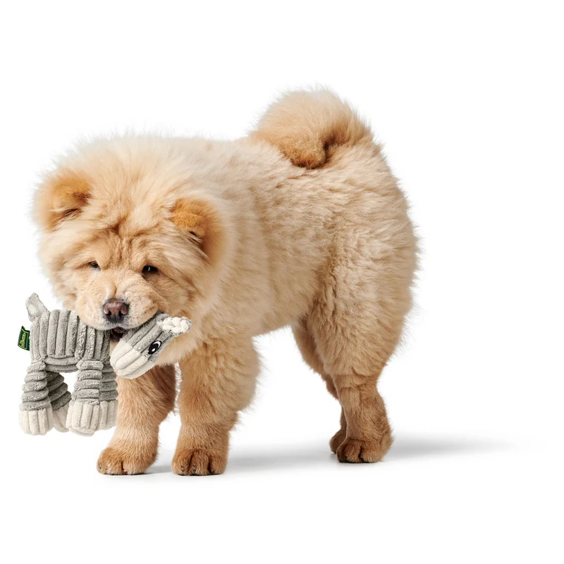 Hundespielzeug Huggly