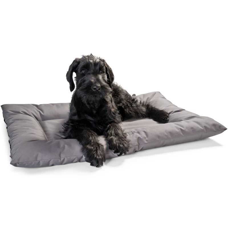 Hundebett Gent Antibakteriell