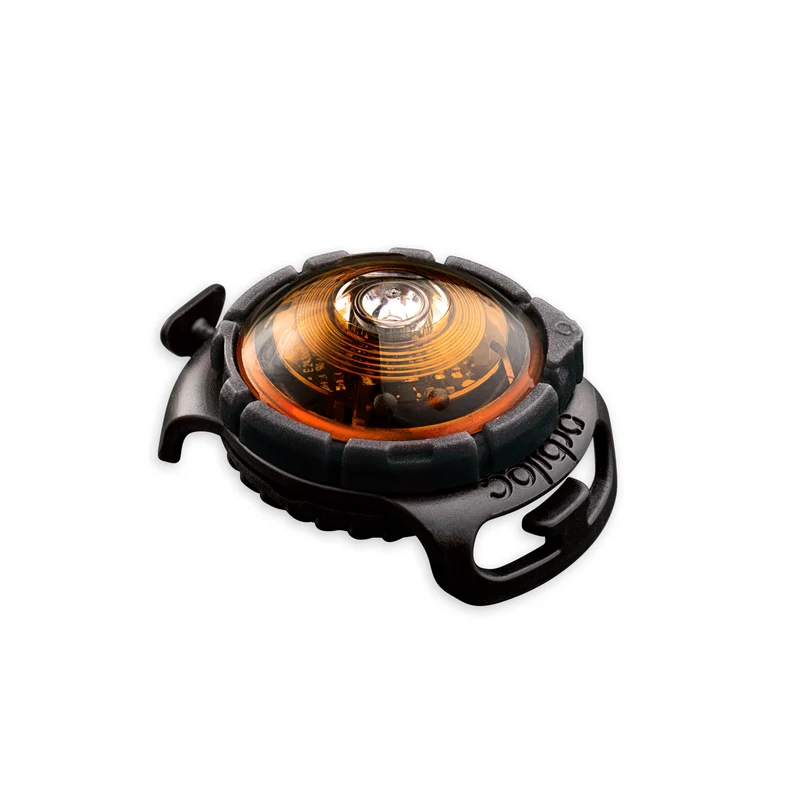 Sicherheitslicht Dog Dual | Amber