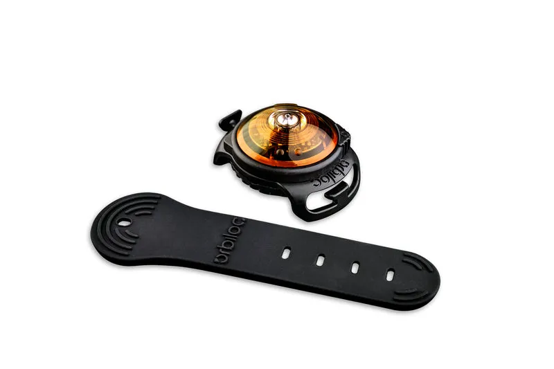 Sicherheitslicht Dog Dual | Amber