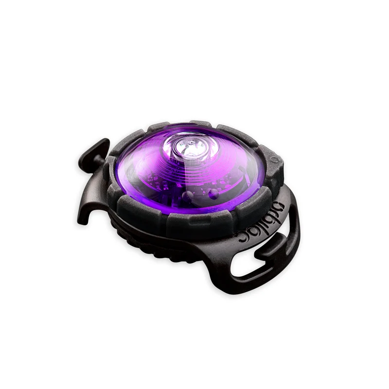 Sicherheitslicht Dog Dual | Purple