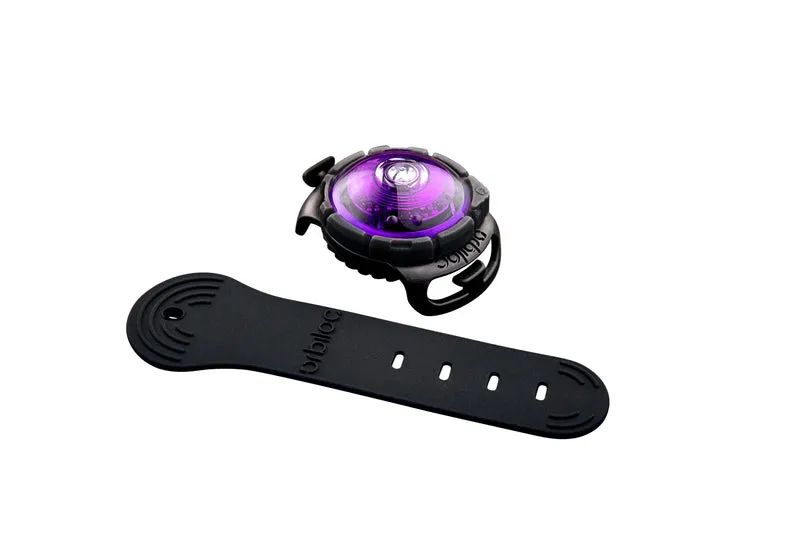 Sicherheitslicht Dog Dual | Purple