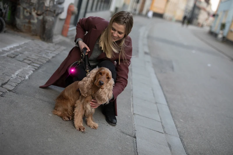 Sicherheitslicht Dog Dual | Pink