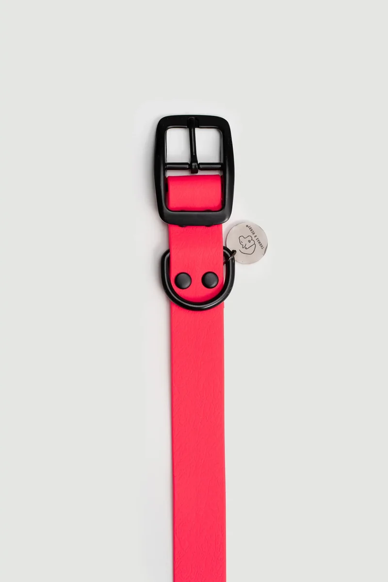 Biothane Hundehalsband | pink