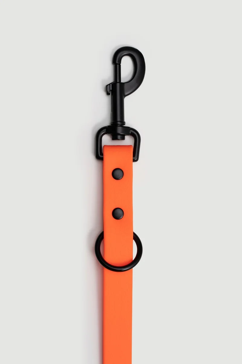 Biothane Führleine | orange