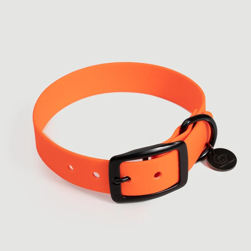 Biothane Hundehalsband | orange