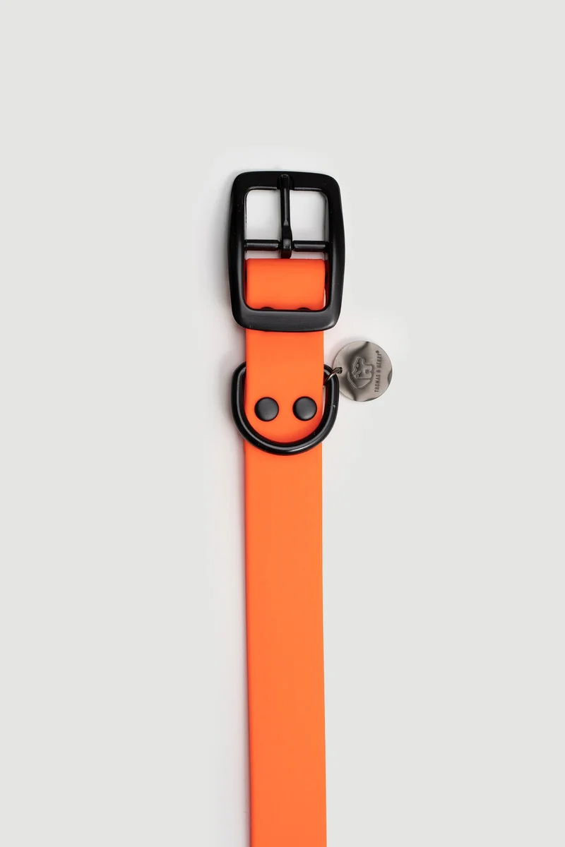 Biothane Hundehalsband | orange