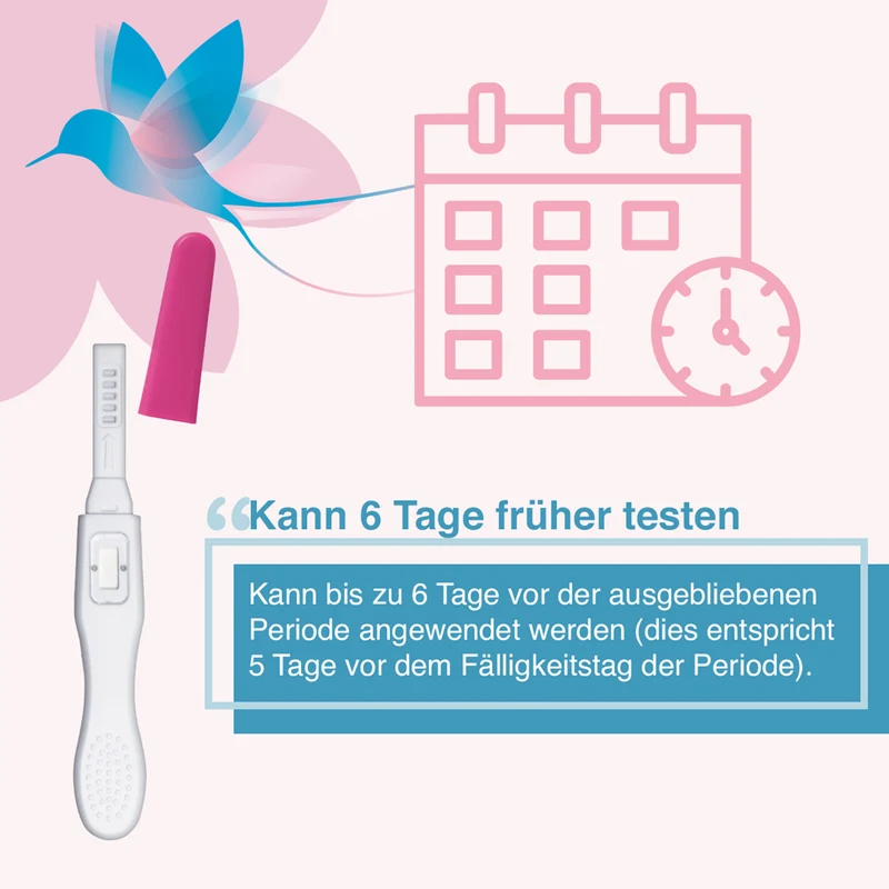 Earlibird Schwangerschaftstest, 1 St. Test