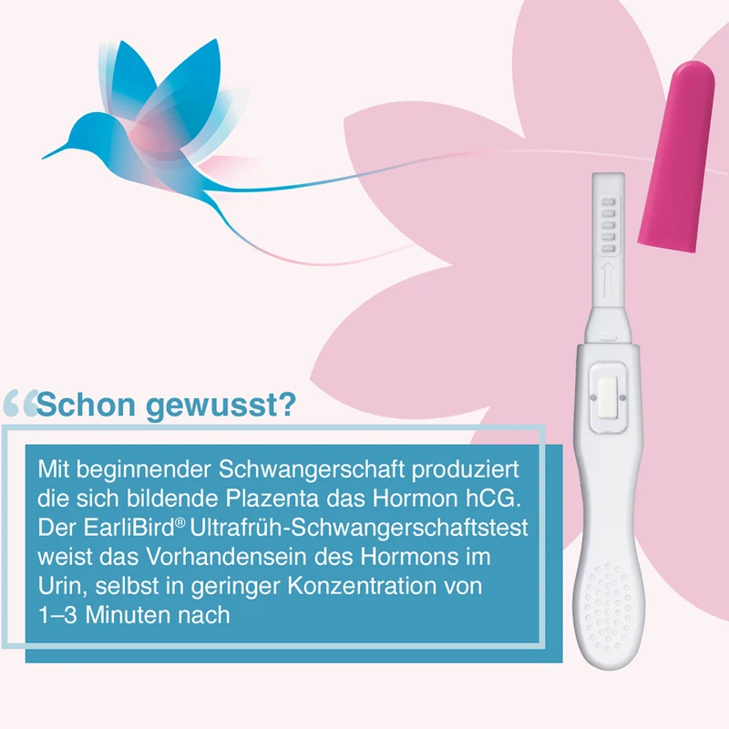 Earlibird Schwangerschaftstest, 1 St. Test