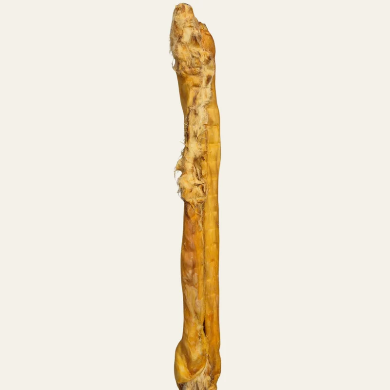 Kaninchenrückenhaut mit Fell (ca. 45 cm) – natürlicher Kausnack