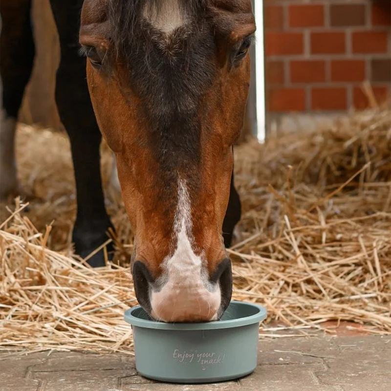 Piccolo Contenitore Per Mangime Con Coperchio 2L In Plastica