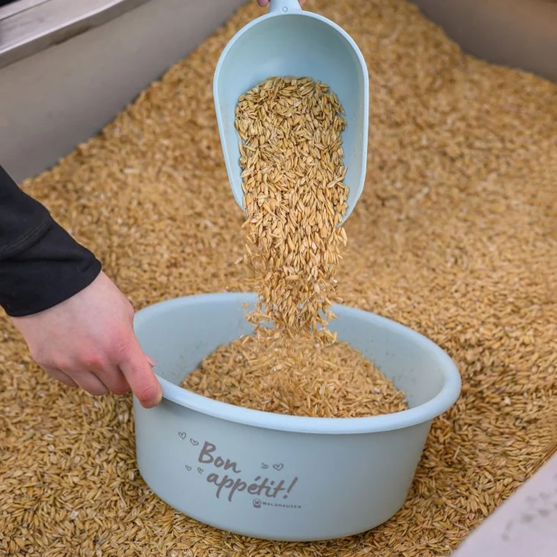 Contenitore Per Mangime Con Coperchio 5L In Plastica Alimentare