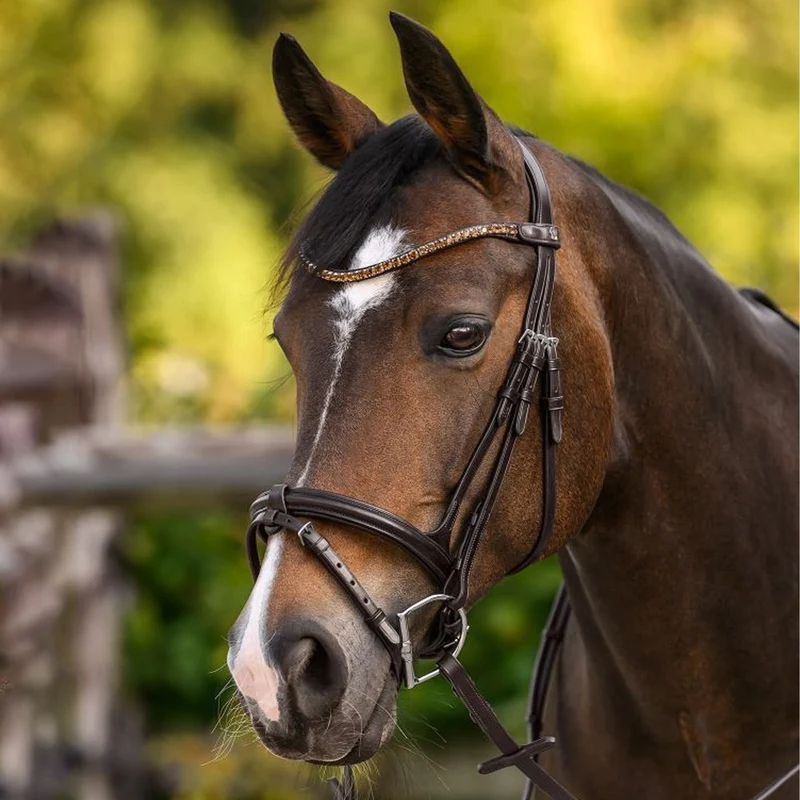 Fascia Frontale X-Line Shine Marrone Con Pietre Decorative Cavallo