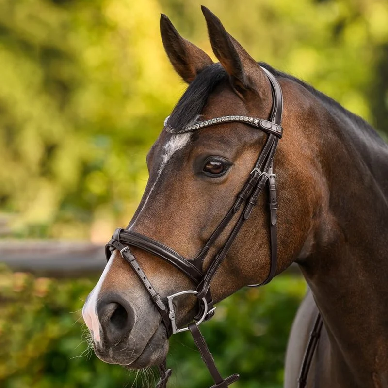 Fascia Frontale X-Line Shine Marrone Con Pietre Decorative Cavallo