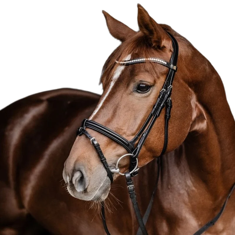 Briglia S-Line Harmony In Pelle Anatomica Con Doppio Frontalino