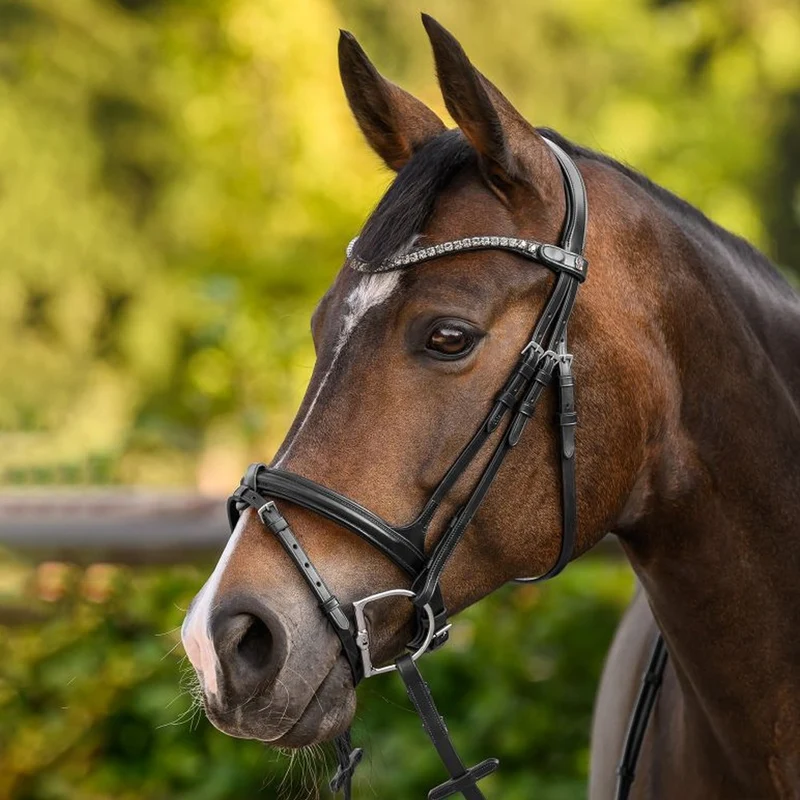 Fascia Frontale X-Line Shine Nera Con Pietre Brillanti Cavallo
