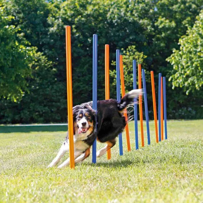 Slalom Agility Stangen Set