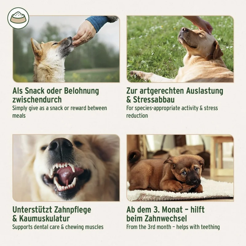 AniForte Kaninchenohren mit Fell – Natürlicher Kauspaß für gesunde Zähne & entspannte Hunde