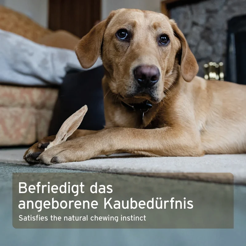 AniForte Kaninchenohren mit Fell – Natürlicher Kauspaß für gesunde Zähne & entspannte Hunde