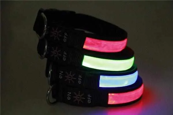 LED Hundehalsband – wiederaufladbares Leuchthalsband