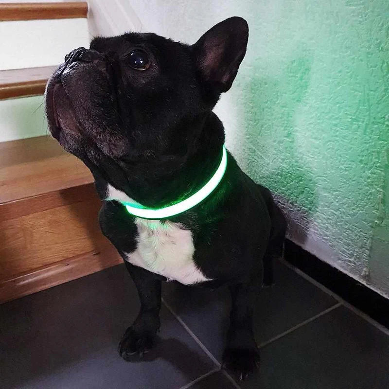 LED Hundehalsband – wiederaufladbares Leuchthalsband