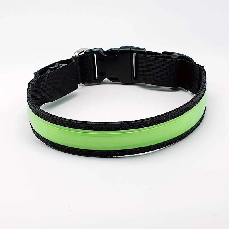 LED Hundehalsband – wiederaufladbares Leuchthalsband
