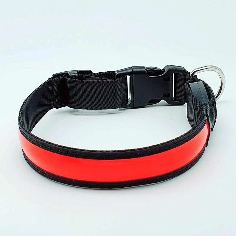 LED Hundehalsband – wiederaufladbares Leuchthalsband