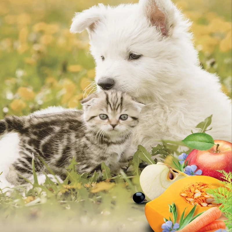 Pro-Nutrition Flatazor Pure Life Adult 7+ – Premium Hundefutter für Senioren ab 7 Jahren mit Gelenkschutz, Multiprotein & Omega-3 für vitale goldene Jahre