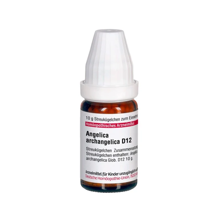 DHU Angelica archangelica D12 Globuli, 10 g Globuli
