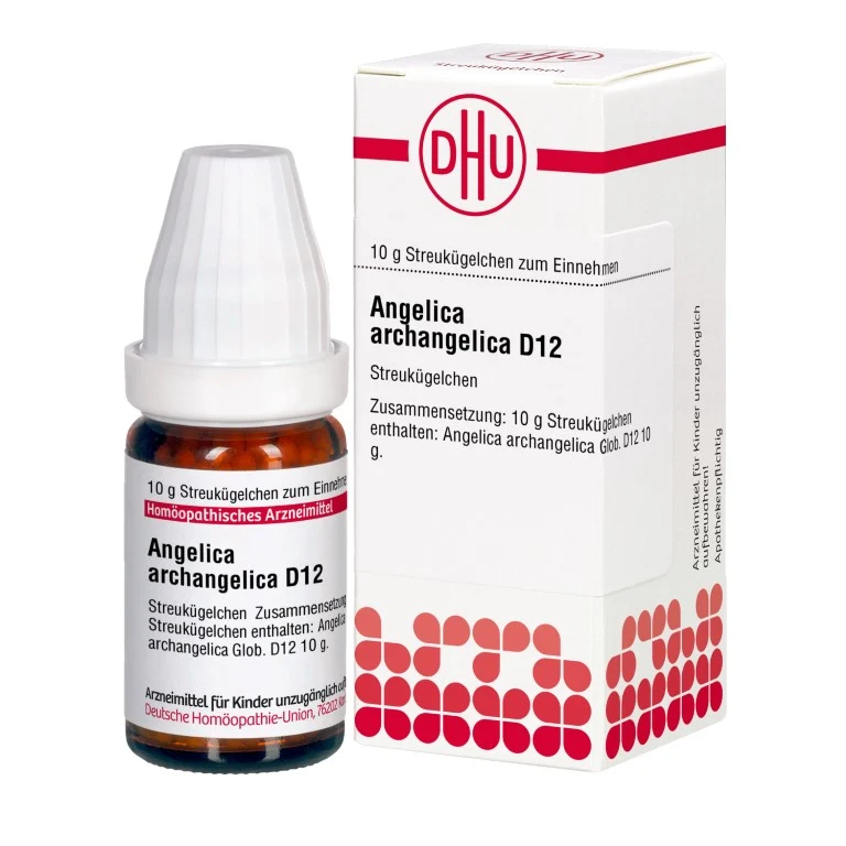 DHU Angelica archangelica D12 Globuli, 10 g Globuli