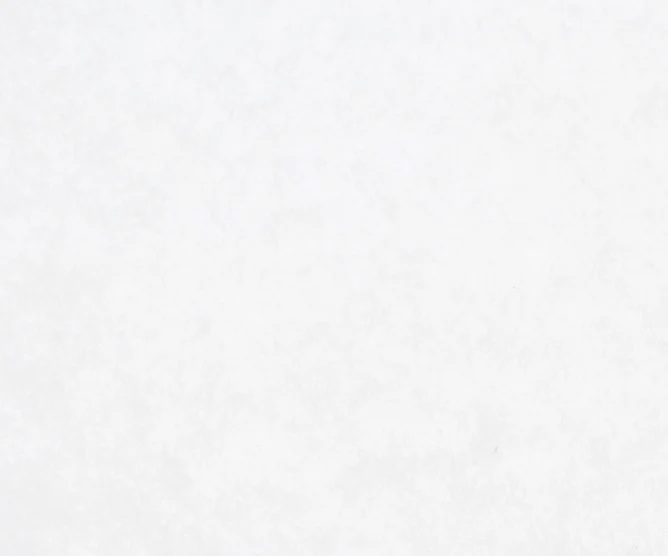 Euterpapier UdderoClean