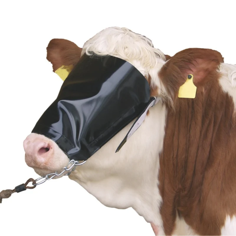 Maschera paraocchi per bovini con cavezza e catena