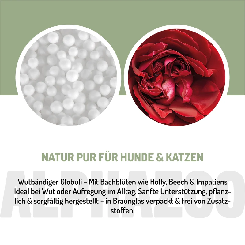 Wutbändiger Bachblüten für Hund - Natürliche Unterstützung für mehr Gelassenheit