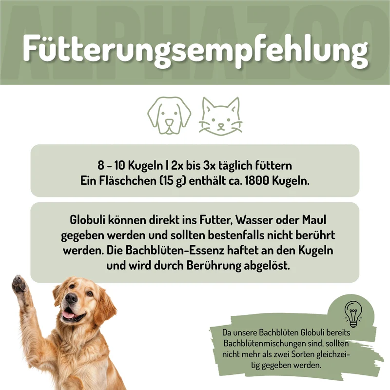 Wutbändiger Bachblüten für Hund - Natürliche Unterstützung für mehr Gelassenheit