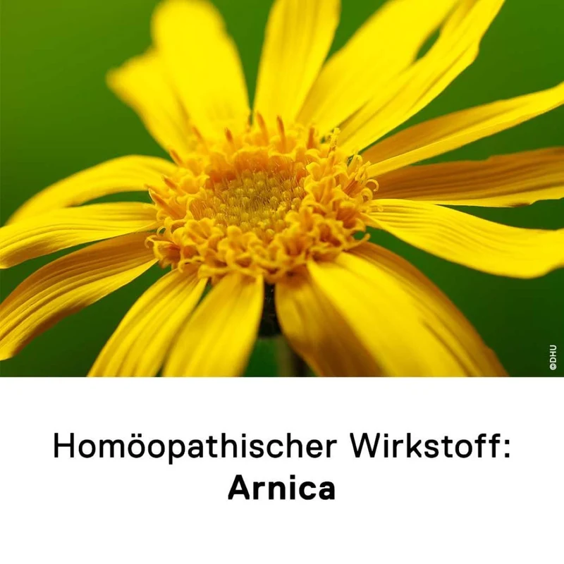 DHU Arnica 1 + 1 Set, 1 St. Kombipackung