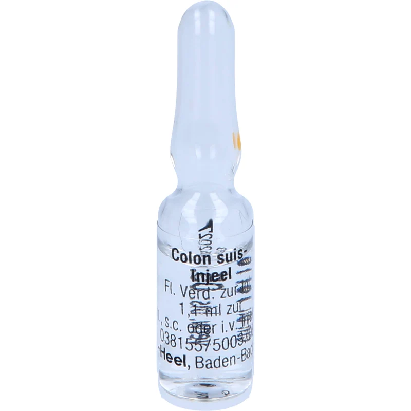 Colon suis-Injeel Inj.-Lsg., 10 St. Ampullen