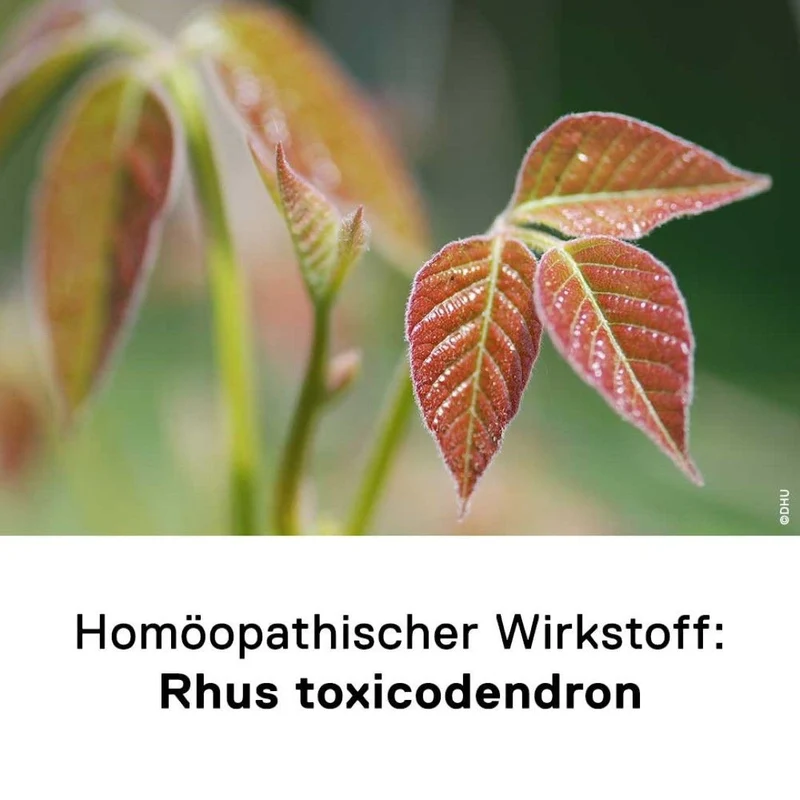 DHU Rhus comp. Gel, 100 g Gel