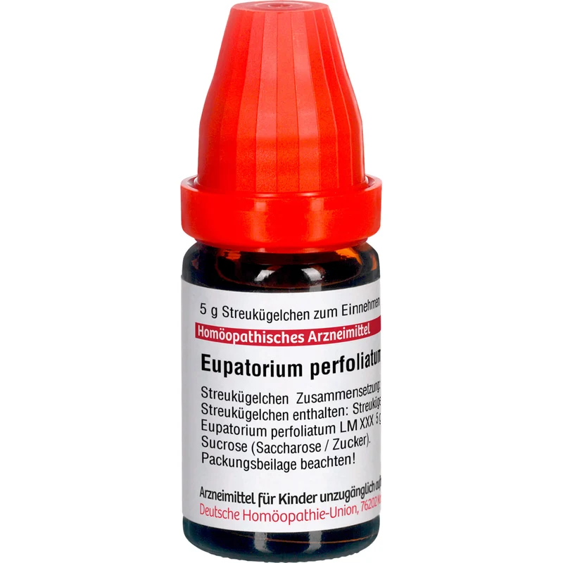 Eupatorium perfoliatum LM XXX DHU Globuli, 5 g Globuli