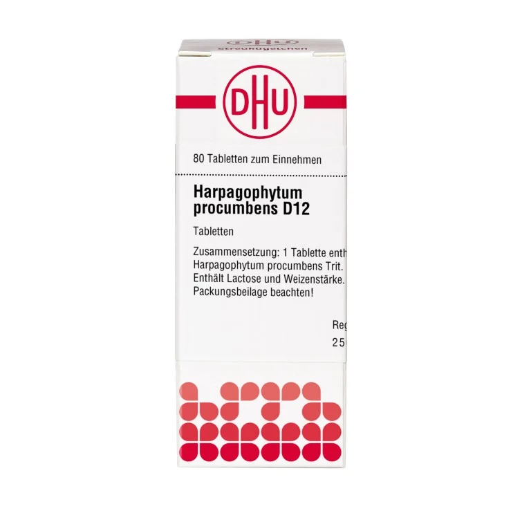 Harpagophytum procumbens D12 DHU Tabletten, 80 St. Tabletten