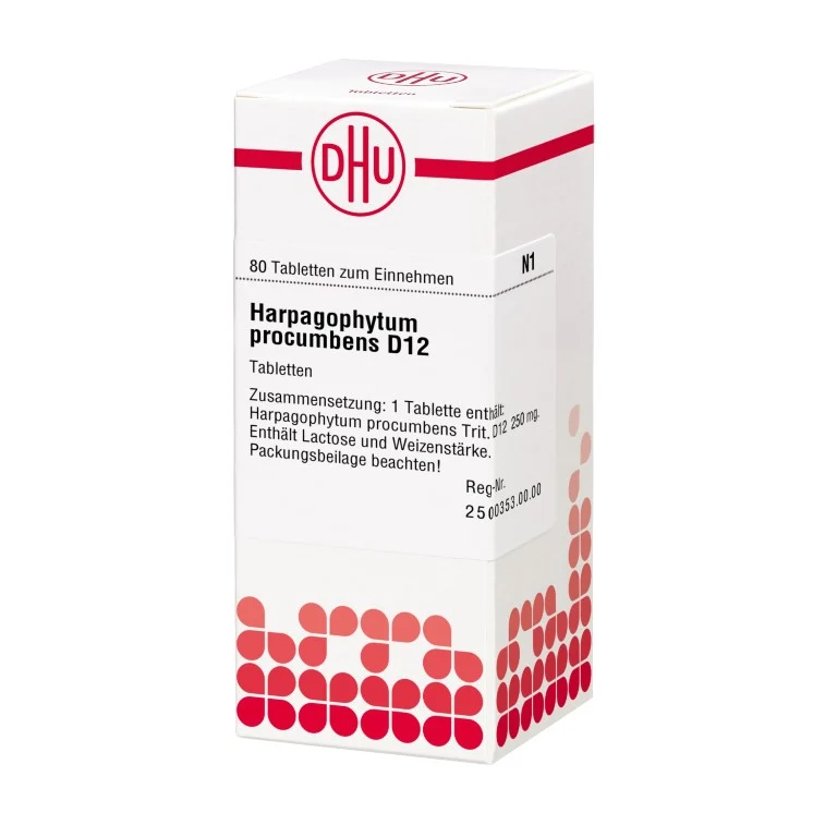 Harpagophytum procumbens D12 DHU Tabletten, 80 St. Tabletten
