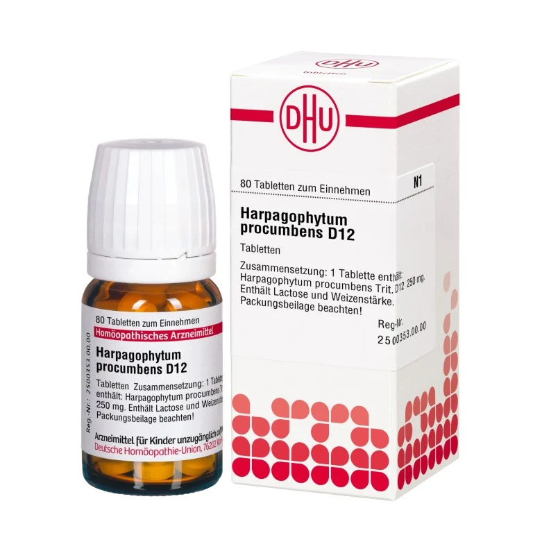 Harpagophytum procumbens D12 DHU Tabletten, 80 St. Tabletten