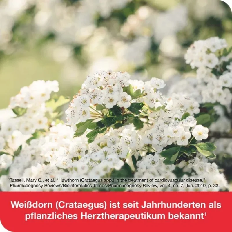 Cratae-Loges 450 mg Weißdorn Filmtabletten bei Herzerkrankungen, 100 St. Tabletten