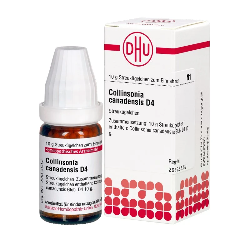 Collinsonia canadensis D4 DHU Globuli, 10 g Globuli