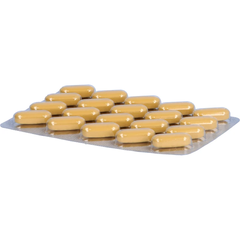Neuroplant AKTIV, 100 St. Tabletten