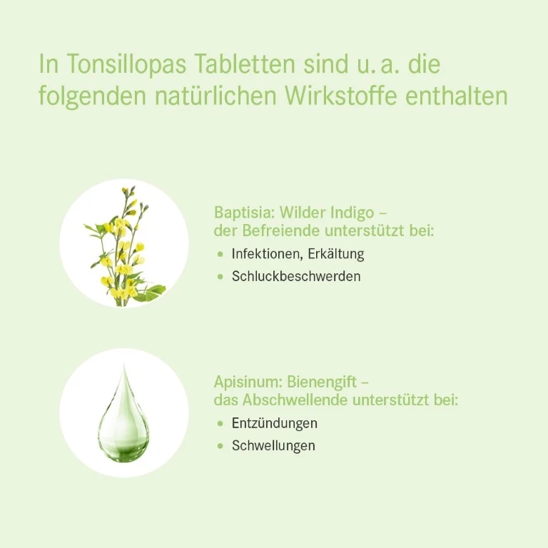 Tonsillopas® Tabletten, 100 St TAB